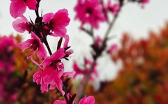 100无遮拦美女照片